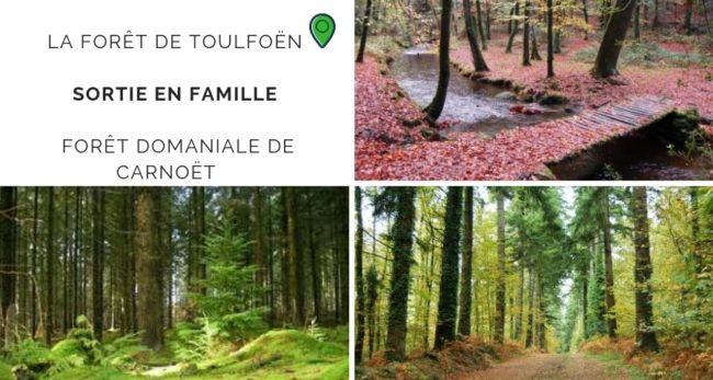 Toulfoen
