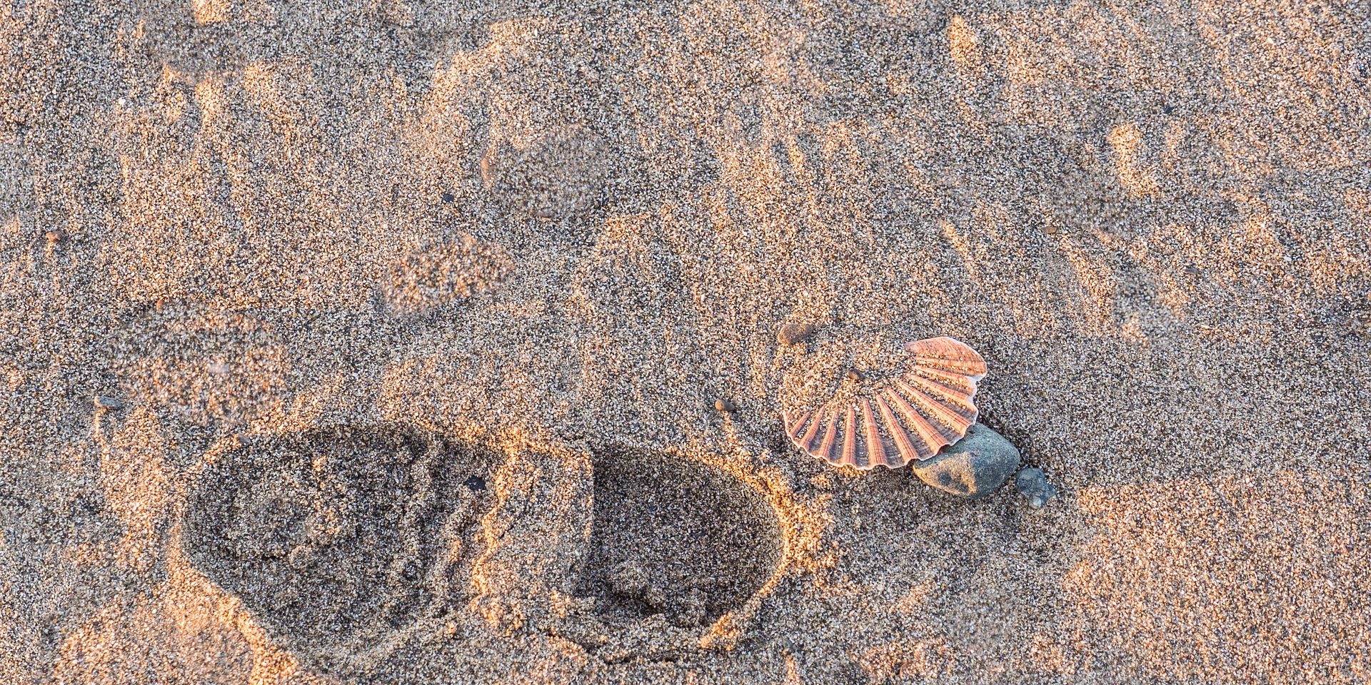 footprints-1255047_1920