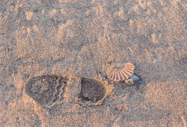 footprints-1255047_1920